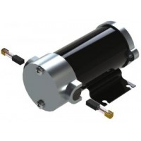 Escobillas para Bombas Reversibles 100 W